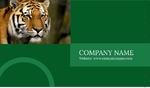 furious_tiger