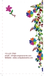 colorful_bunch