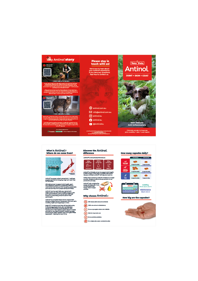 Dog Generic - DL Flyers - Jan26