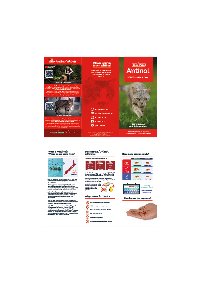 Cat Generic DL Flyer - Jan26
